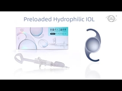 الصفحة الأولى